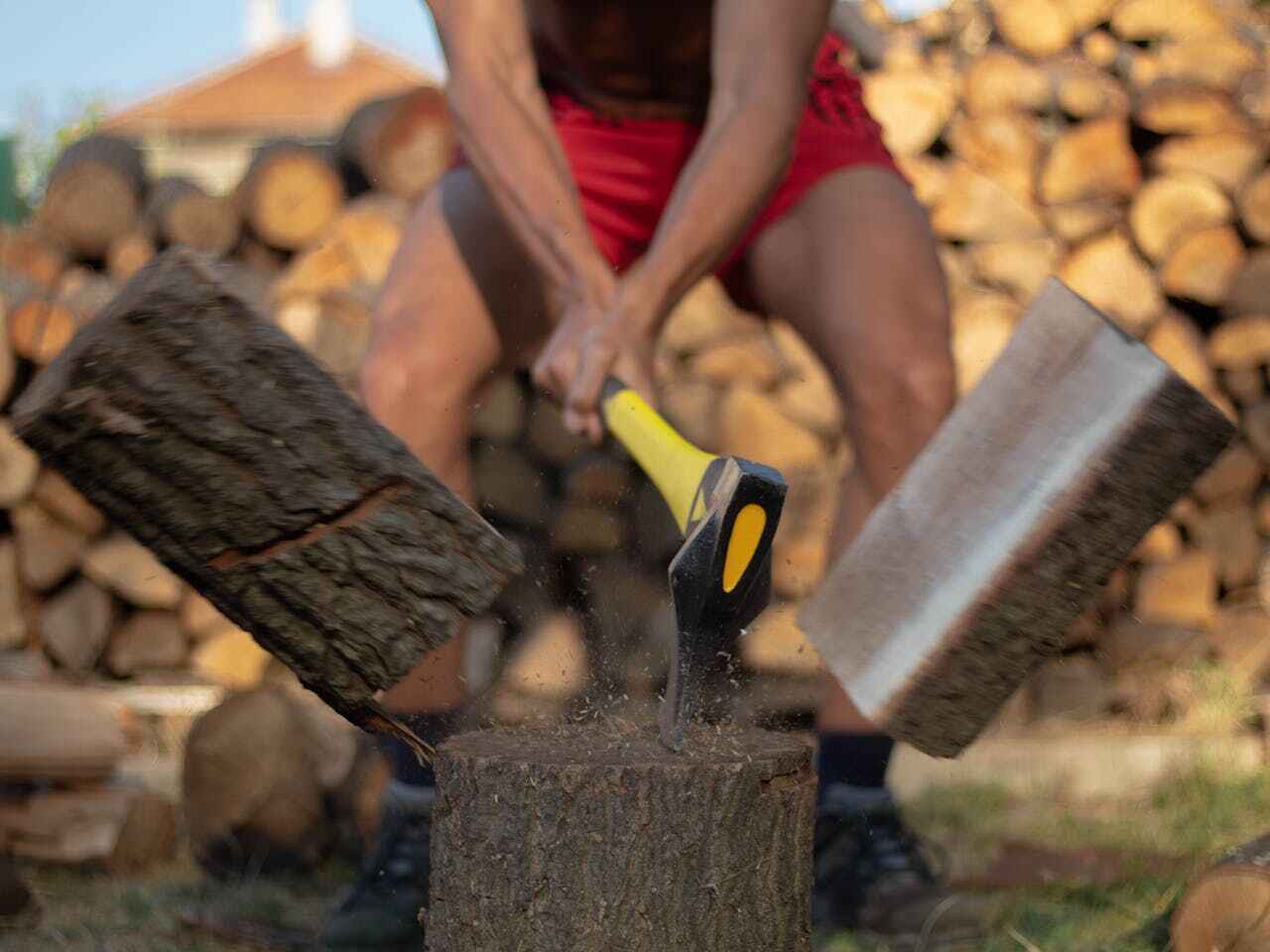 Palm Tree Trimming in Locust Grove, OK